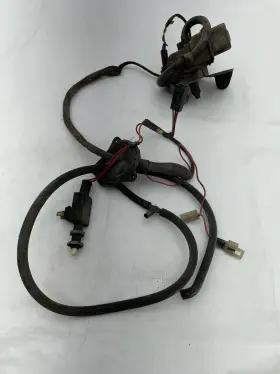M1031 General Motors 1969 Chevrolet Cruise Control Module Diaphragm Wiring Chevelle Impala #2