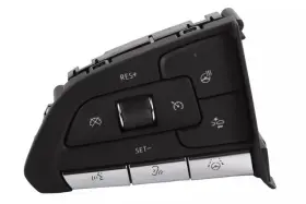 13551234 Gm Genuine Cruise Switch