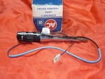 Nos Gm Square Body Cruise Control Switch 25030910 Regal Cheyenne S10 Truck. Fixed Price $179.95.