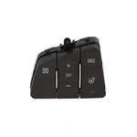 Rostra Vehicle Electronics 661667 Cruise Control Switch. Fixed Price $183.99.