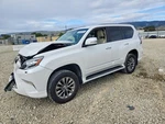 Engine Ecm Electronic Control Module Fits 14 Lexus GX460 11816356. Fixed Price $563.00.