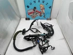 98-02 Honda Accord 2.3L Mt Engine Wire Wiring Harness Used Oem. Fixed Price $350.00.