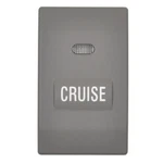 Standard CCA1175 Cruise Control Switch. Fixed Price $75.16.